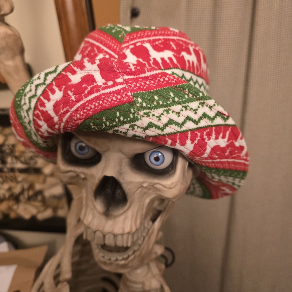 Festive Red and Green Unisex Hat
